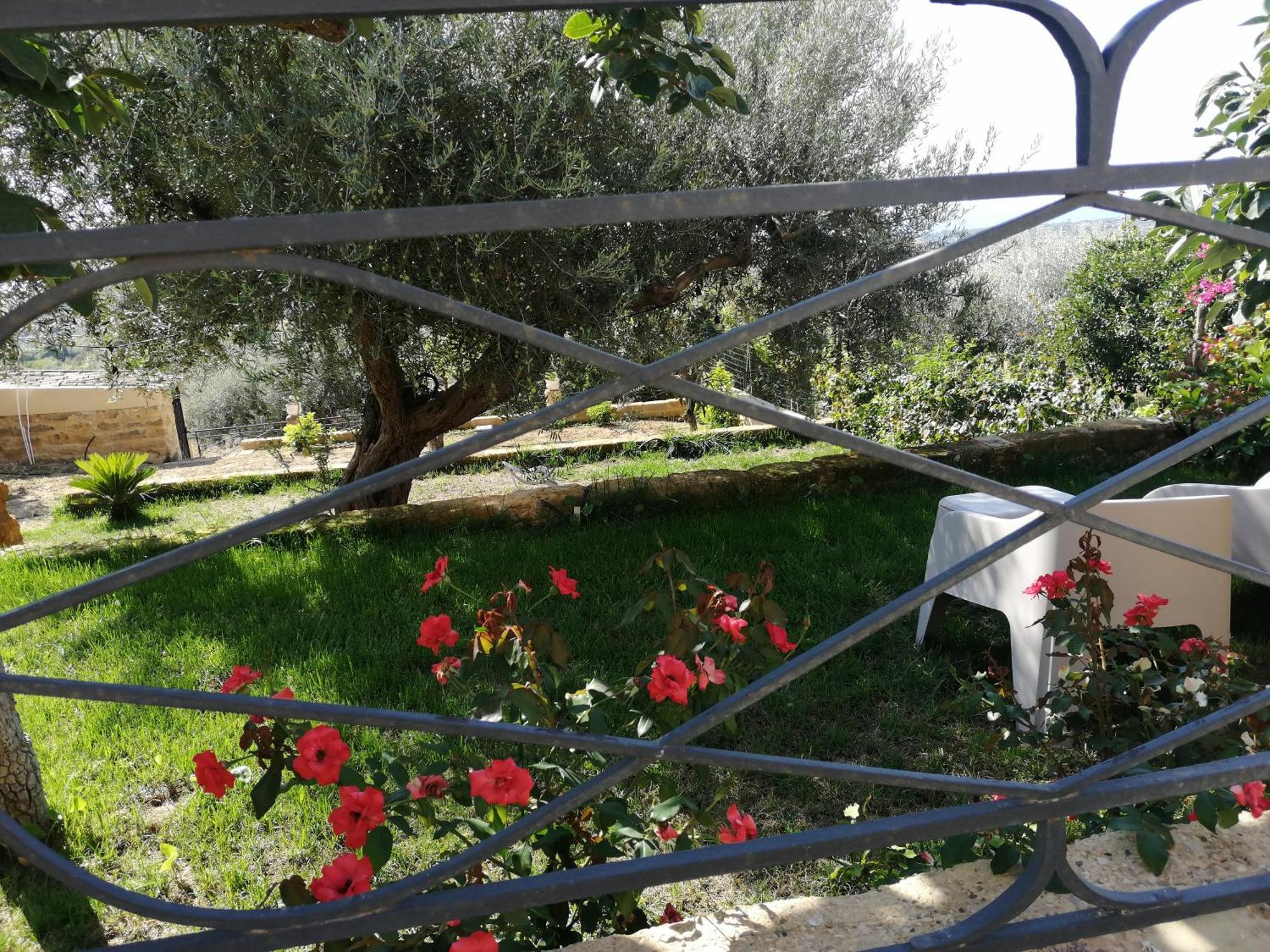 A Casa Di Mammi Nella Valle Dei Templi Agrigento Oda fotoğraf